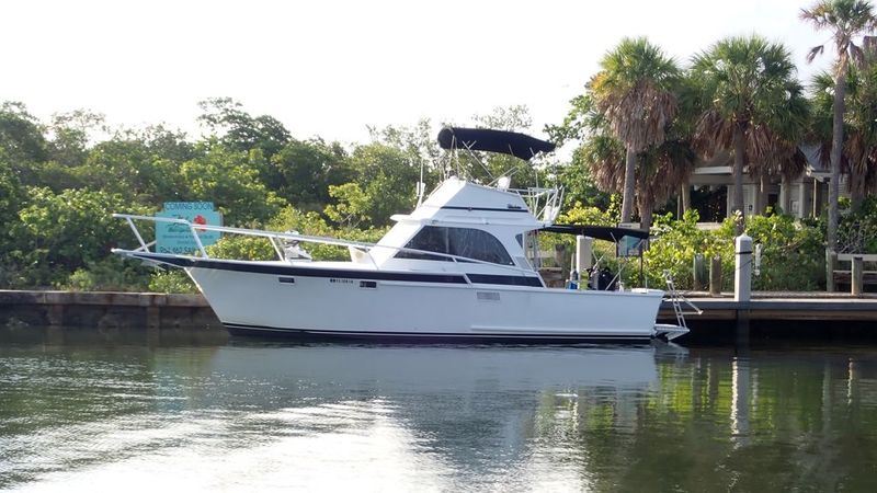 37' 1969 Striker