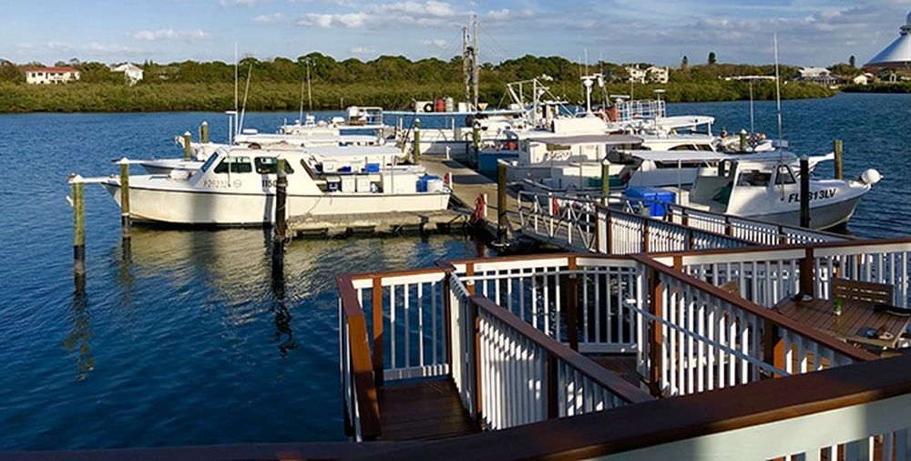 Dock & Dine: Salt Rock Grill – Indian Shores, FL