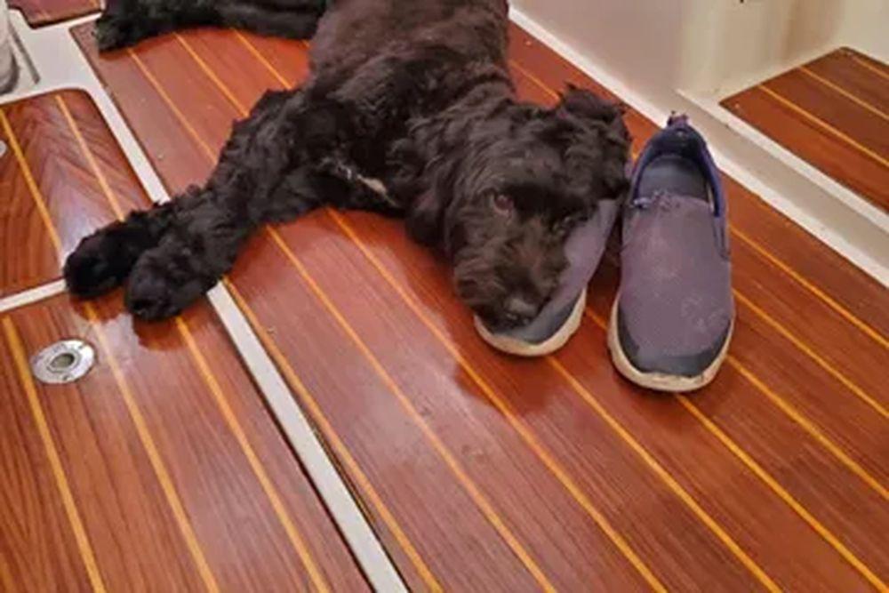 36' 2000 Catalina 36