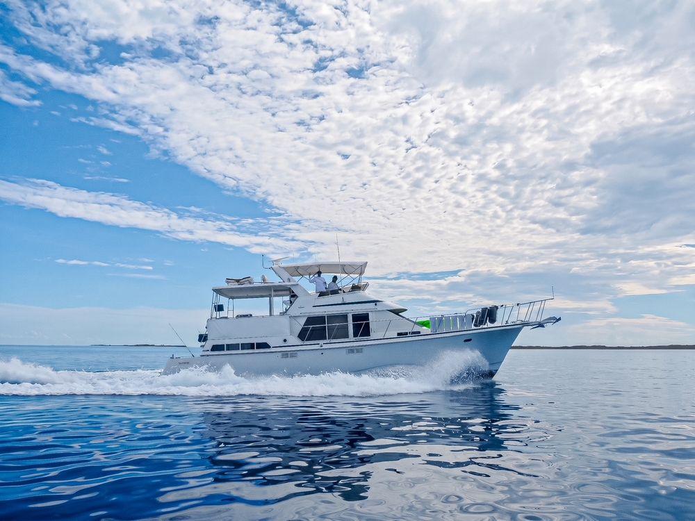 45' 1994 Tollycraft 45 Cockpit Motor Yacht