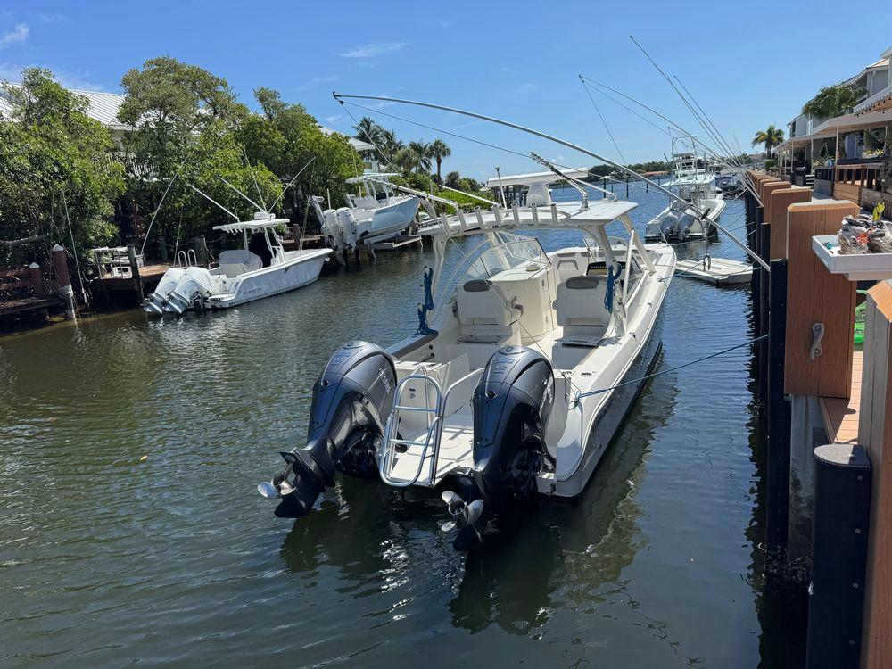 29' 2022 World Cat 296DC